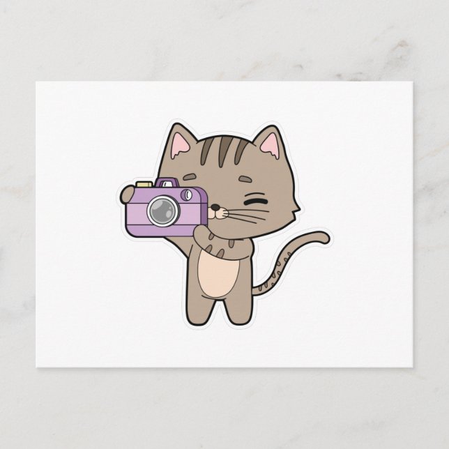 Postal Gato como fotógrafo con cámara (Anverso)