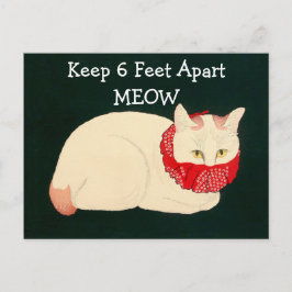 Postal Gato con 6 pies de separación