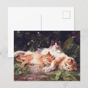 Postal Gato con Bella Artes gatito