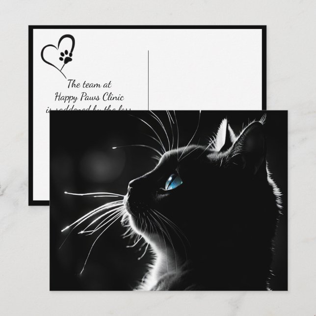 Postal Gato con brillo de luz trasera Pésame por la pérdi (Anverso / Reverso)