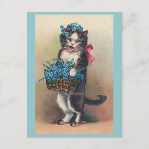 Postal "Gato con cosecha de nomeolvides 2"