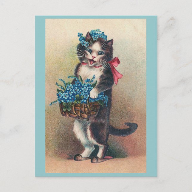 Postal "Gato con cosecha de nomeolvides 2" (Anverso)