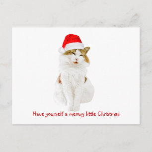 Postal Gato con el Gorra de Santa