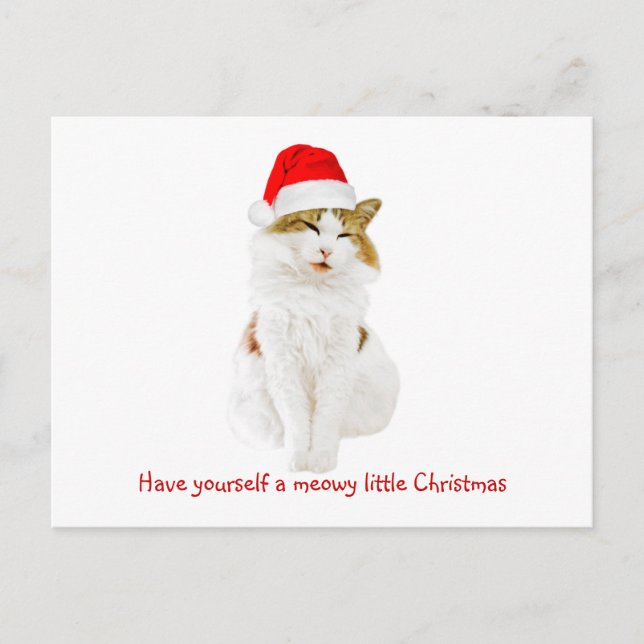 Postal Gato con el Gorra de Santa (Anverso)