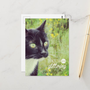 Postal Gato con Ojos Brillantes