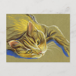 Postal Gato con ojos de oro - Dibujo Pastel