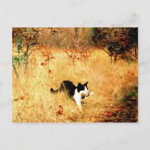 Postal Gato con pájaro en boca