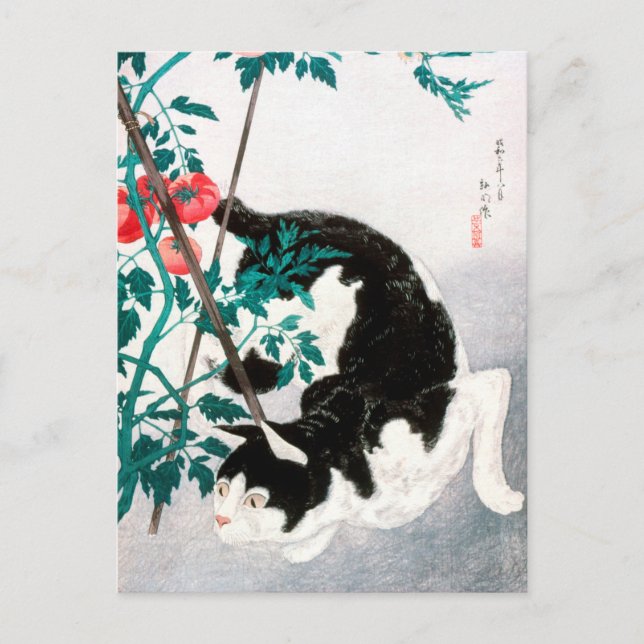 Postal Gato con planta de tomate (1931) de Hiroaki Takaha (Anverso)