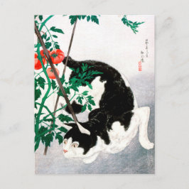 Postal Gato con planta de tomate - Hiroaki Takahashi - Ar