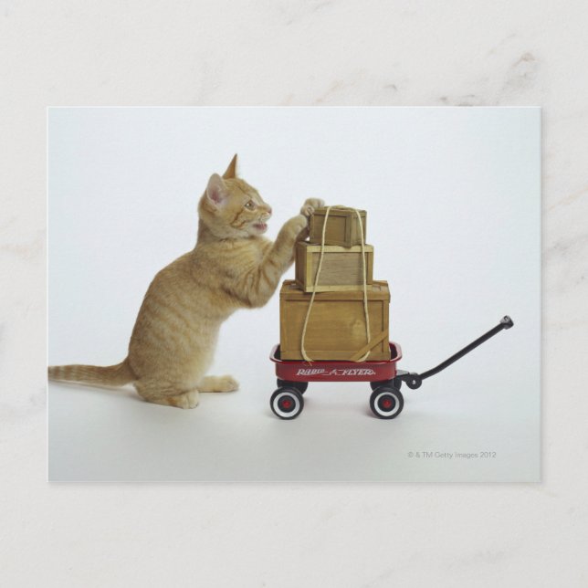 Postal Gato con vagón y cajas (Anverso)