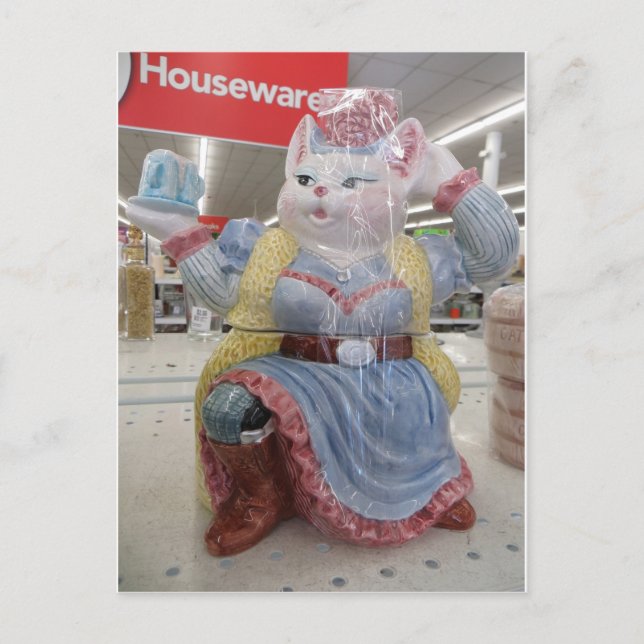 Postal Gato Con Vestido (Anverso)