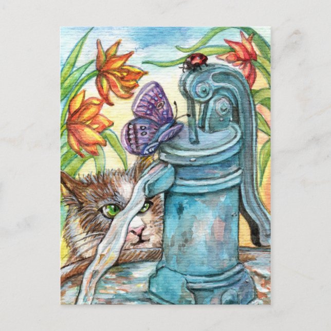 Postal Gato curioso (Anverso)