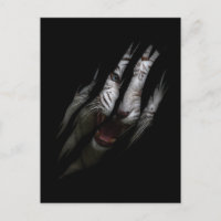 Gato de animal salvaje de Safari de tigre blanco r