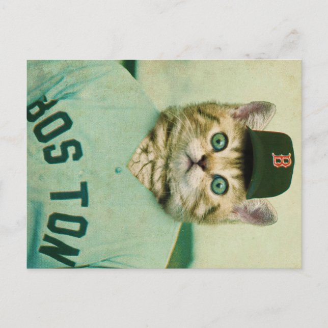 Postal Gato de béisbol (Anverso)
