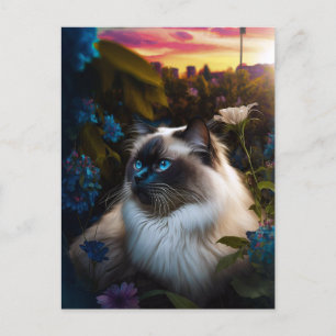 Postal Gato de Birman en el jardín de la ciudad con posta