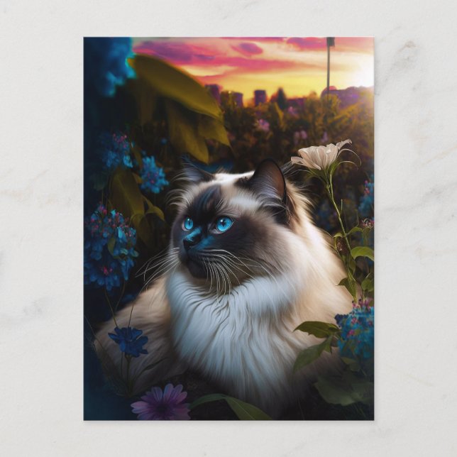 Postal Gato de Birman en el jardín de la ciudad con posta (Anverso)