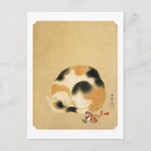 Postal Gato de calicó japonés, Hanabusa Itchō