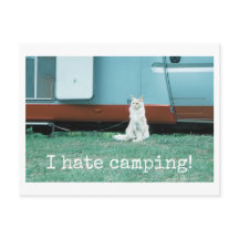 Gato de camping