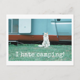 Postal Gato de camping