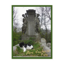 Gato de cementerio con texto