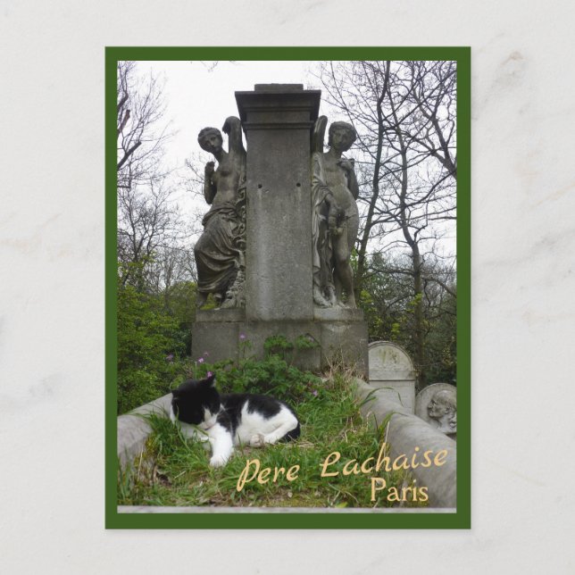 Postal Gato de cementerio con texto (Anverso)