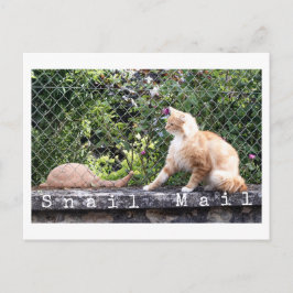 Postal Gato de correo caracol