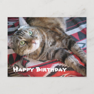 Postal Gato de cumpleaños feliz