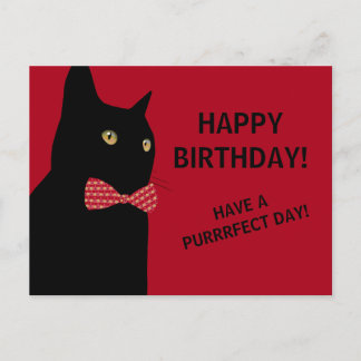 Postal Gato de cumpleaños feliz negro con corbata roja