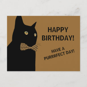 Postal Gato de cumpleaños feliz negro con marrón