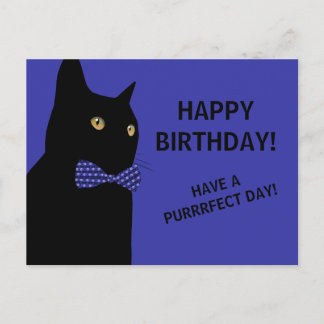 Postal Gato de cumpleaños feliz negro con una marea azul