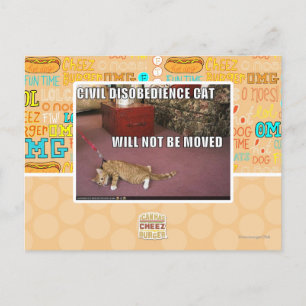 Postal Gato de desobediencia civil