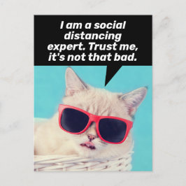 Postal Gato de distanciamiento social: aliento y afrontam