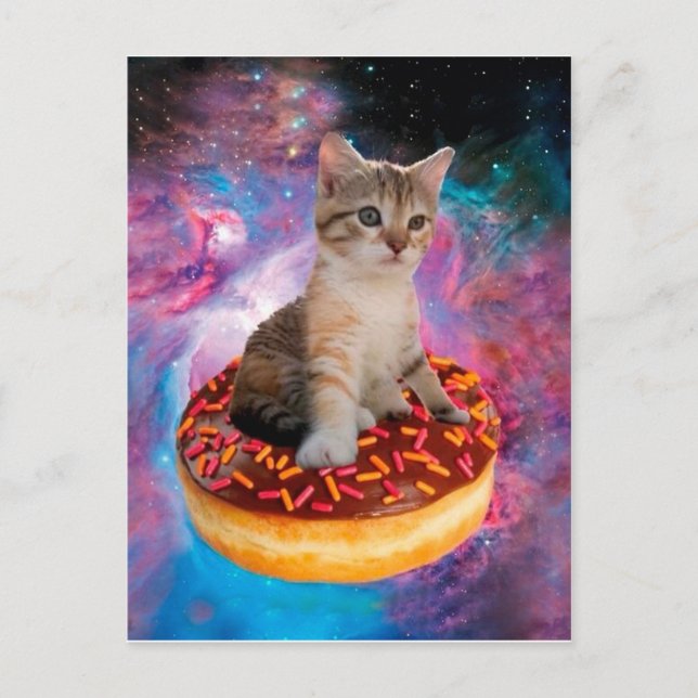 Postal Gato de donut - amante de donut (Anverso)