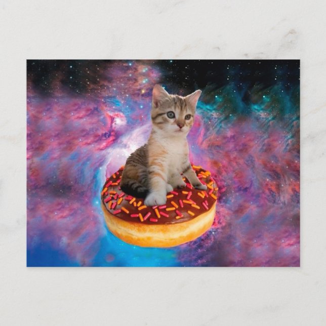Postal Gato de donut - amante de donut (Anverso)