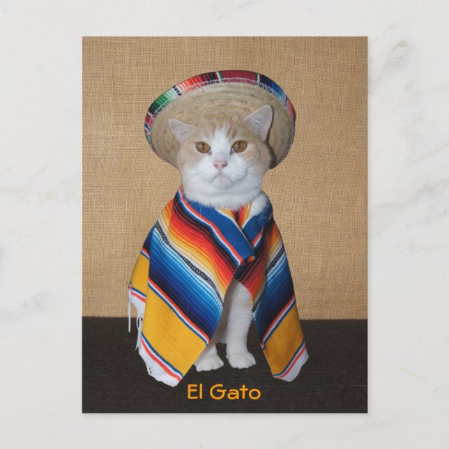 Postal Gato de El Gato en Sombrero y Serape (Anverso)