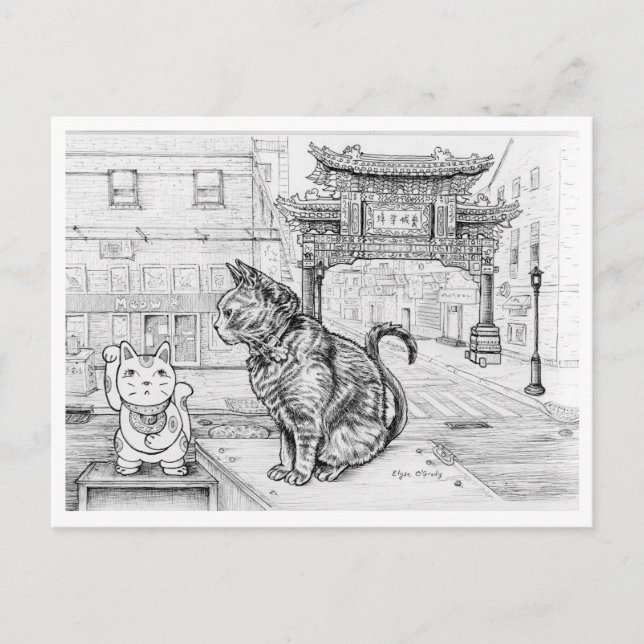Postal Gato de Filadelfia en Chinatown (Anverso)