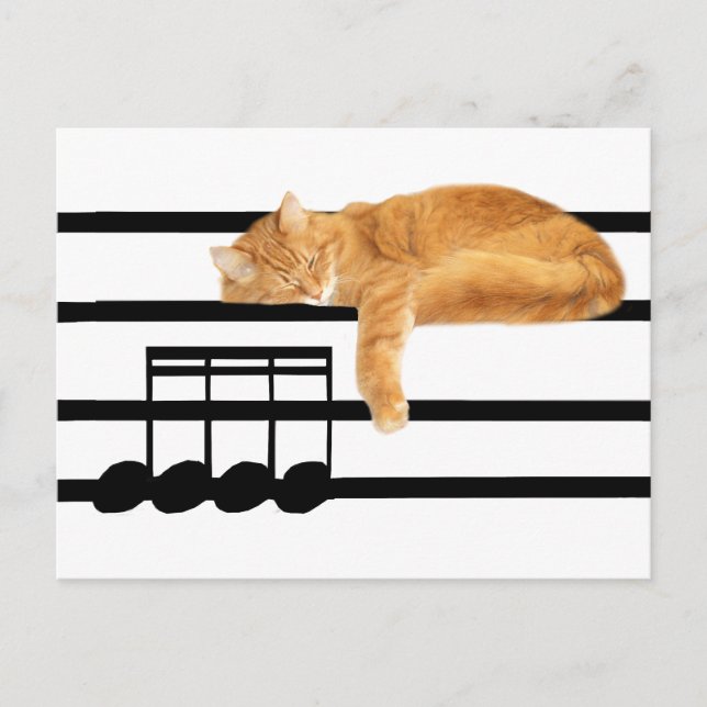 Postal Gato de gatitos de tabús musicales (Anverso)