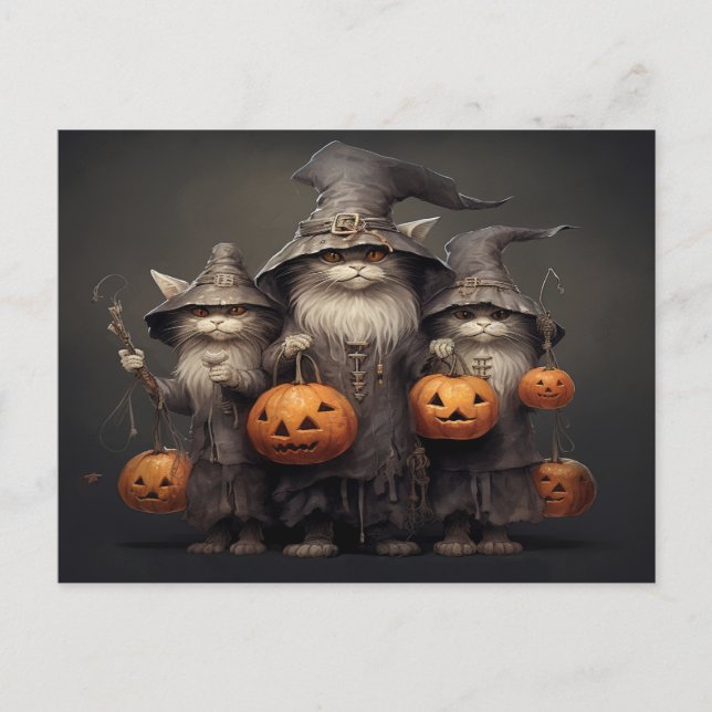 Postal Gato de Halloween (Anverso)