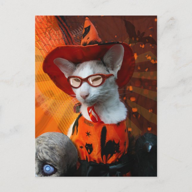 Postal Gato de Halloween (Anverso)