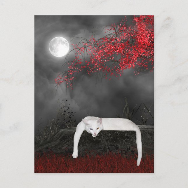 Postal Gato de Halloween blanco (Anverso)