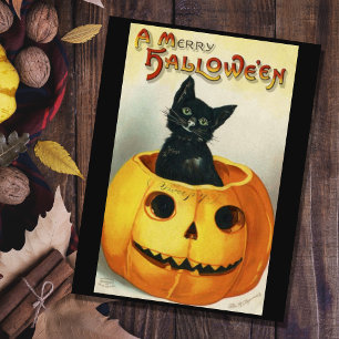 Postal Gato De Halloween Negro Vintage En Una Calabaza