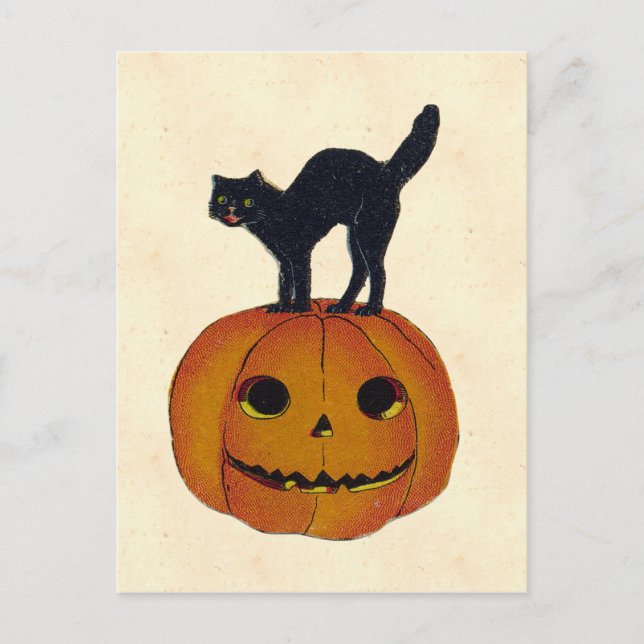 Postal Gato de Halloween vintage (Anverso)