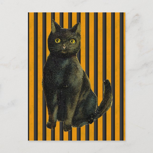 Postal Gato de Halloween vintage (Anverso)
