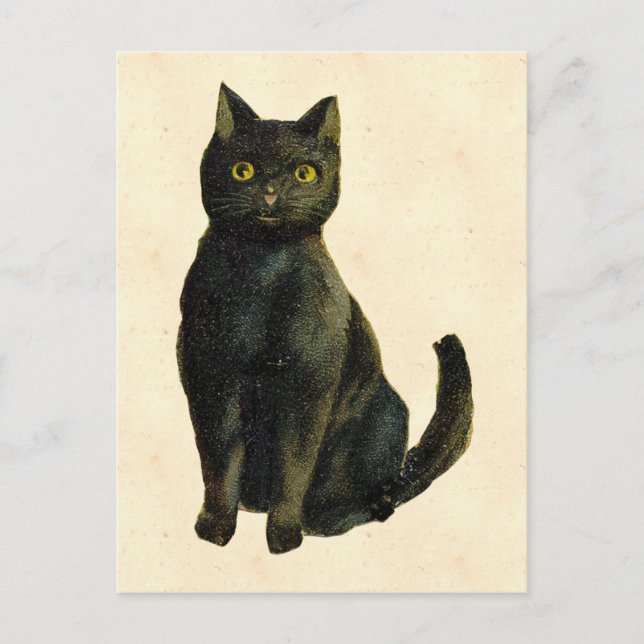 Postal Gato de Halloween vintage (Anverso)