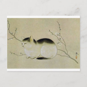 Postal Gato de Hishida Shunso