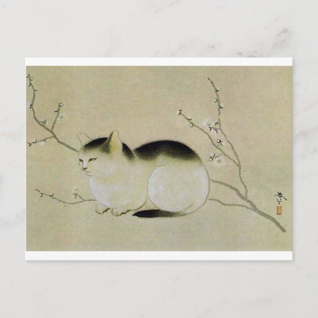 Postal Gato de Hishida Shunso (Anverso)