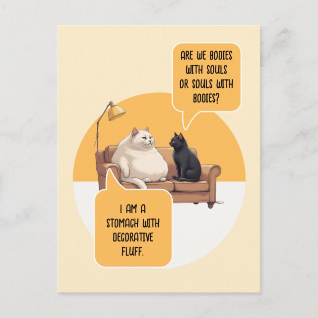 Postal Gato de humor intelectual Filosofía Cita divertida (Anverso)