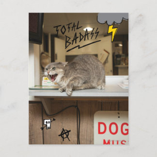 Postal Gato de insignia total