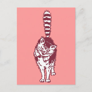 Postal Gato de Invierno con cola a rayas y ocupado