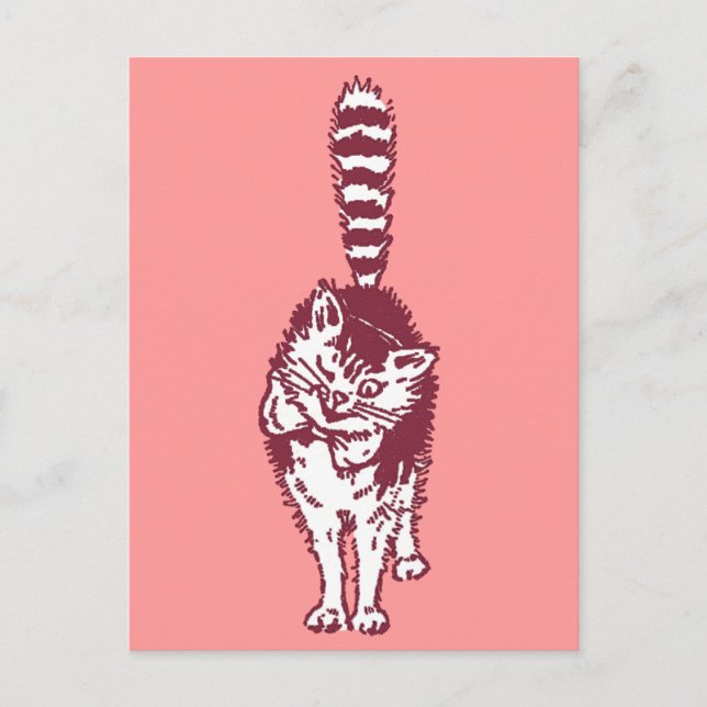 Postal Gato de Invierno con cola a rayas y ocupado (Anverso)